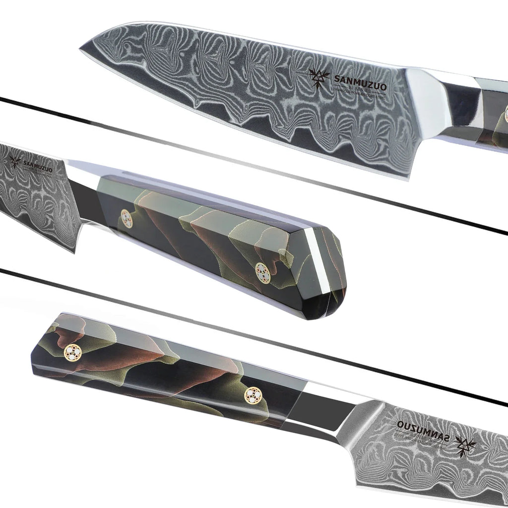 SANMUZUO 5 Inch Utility Kitchen Knife - BI Series Damascus Steel Kitchen Knife - 101 Layer Sharp Blade - Resin Handle